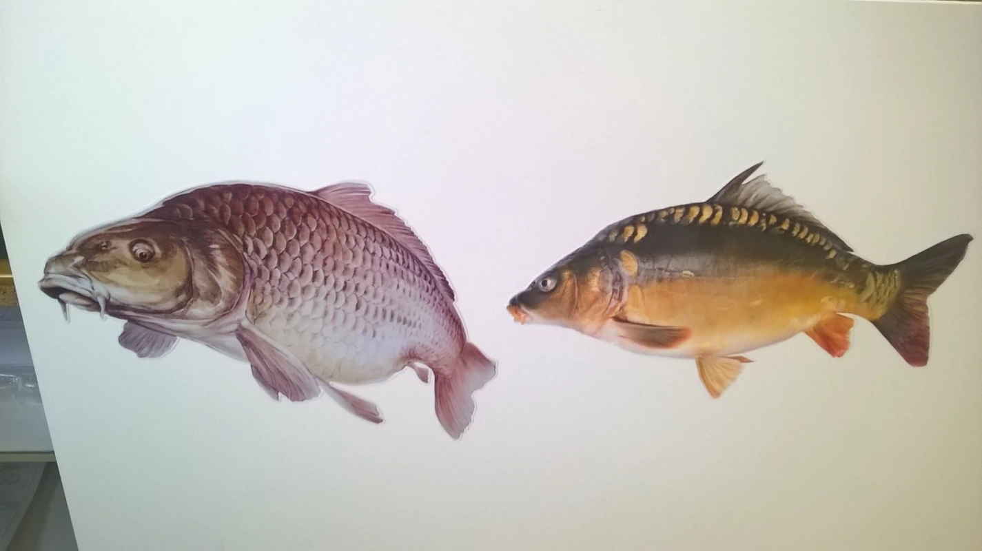 Gravure Senotier Impression Numerique Dans Le Puy De Dome Realisation 11